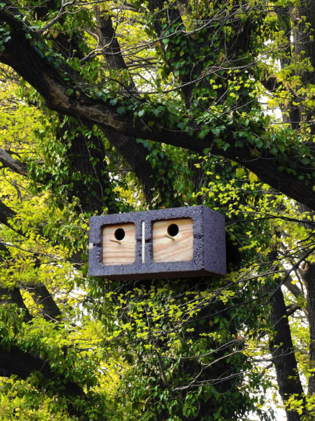 20 Поразительных примеров использования шлакоблоков в декоре