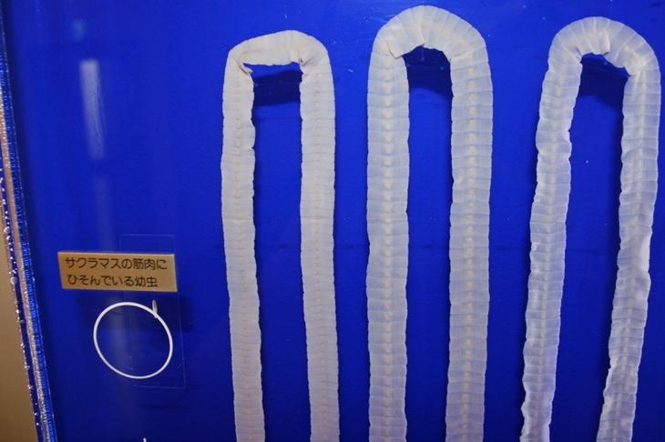 20 самых странных и необычных музеев мира