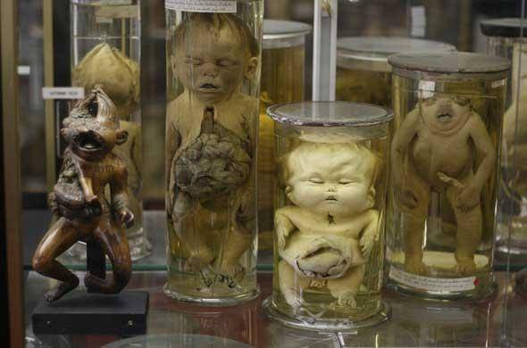 20 самых странных и необычных музеев мира