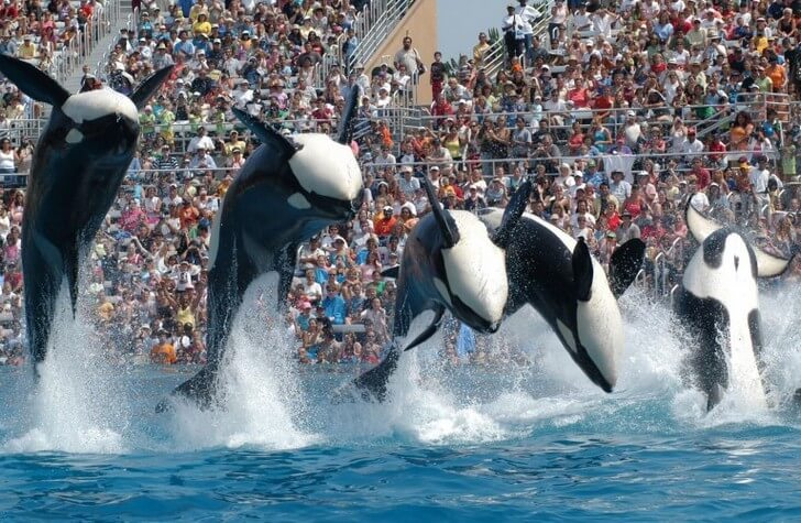 Достопримечательности Сан-Диего