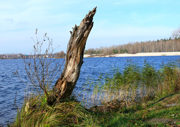 Гусь Хрустальный: достопримечательности и интересные места города