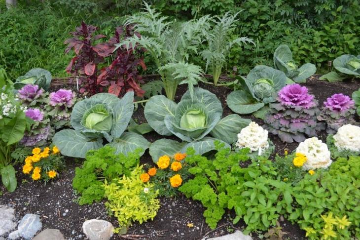 Как воплотить интересные идеи украшения любимой дачи