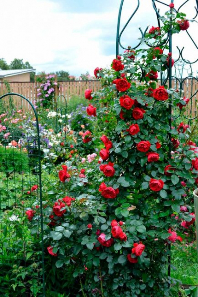 Как воплотить интересные идеи украшения любимой дачи