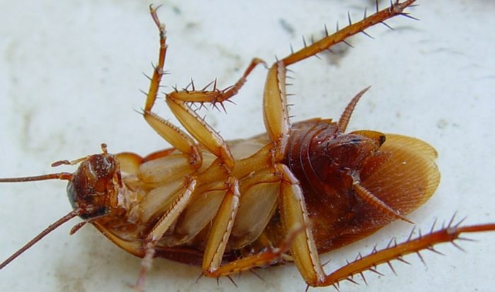 Космические факты и загадки, которые будут интересны каждому