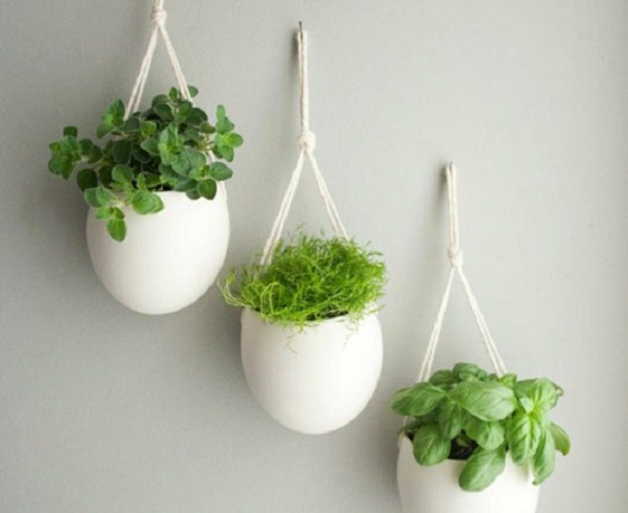 Крутые домашние сады, которые можно создать собственноручно