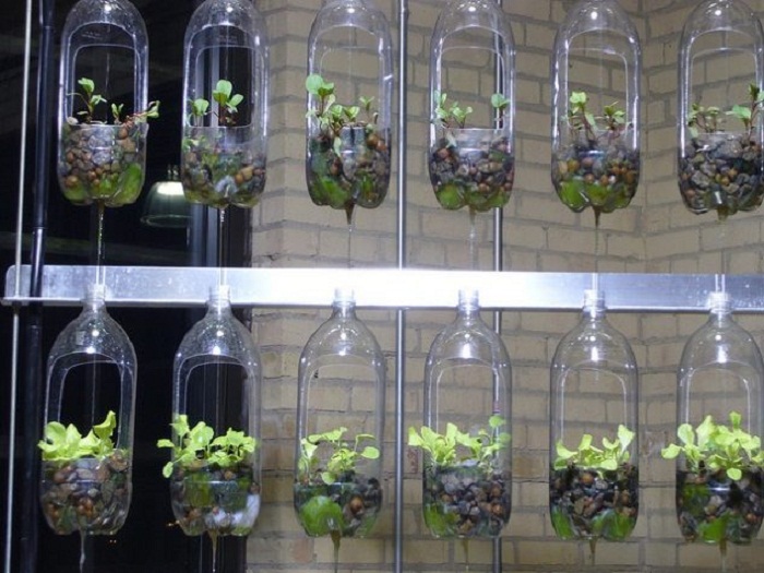 Крутые домашние сады, которые можно создать собственноручно