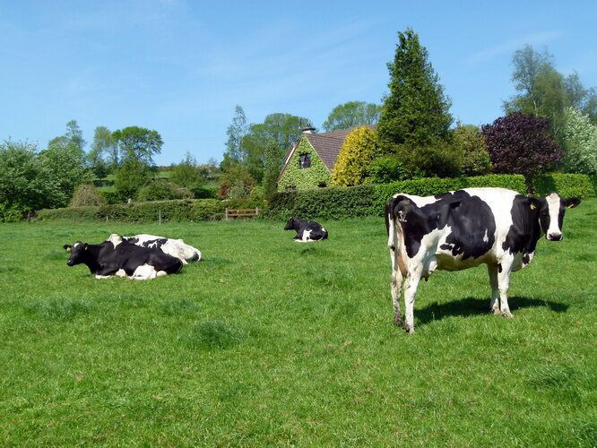 На лицо прекрасные: 7 опаснейших животных, которые выглядят очень мило