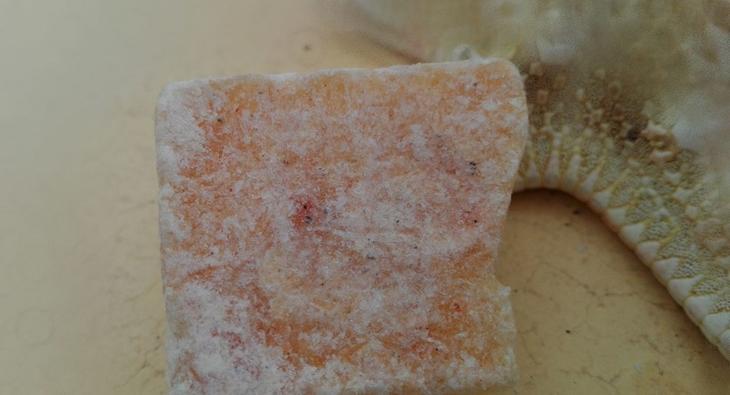 Откуда берутся жемчуг, куриные яйца и еще 7 удивительных ответов на вопрос «Как это появилось?»