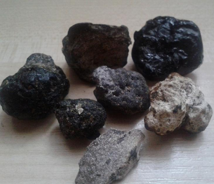 Откуда берутся жемчуг, куриные яйца и еще 7 удивительных ответов на вопрос «Как это появилось?»