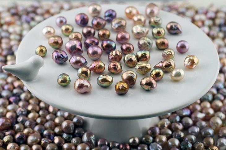 Откуда берутся жемчуг, куриные яйца и еще 7 удивительных ответов на вопрос «Как это появилось?»