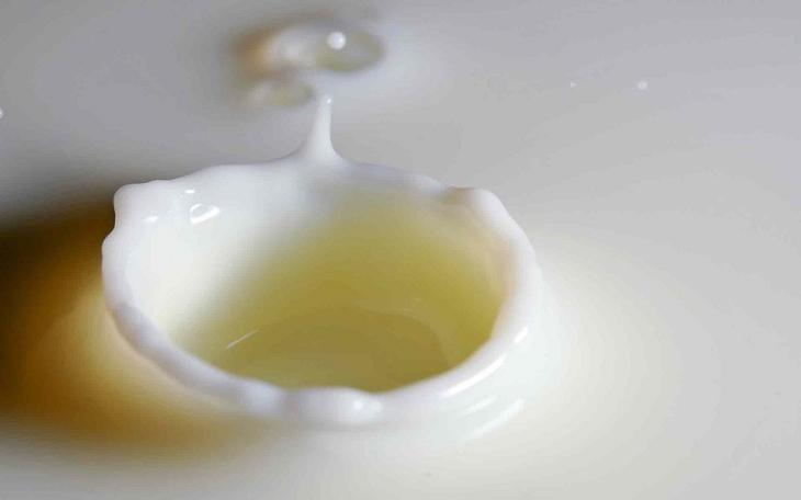 Откуда берутся жемчуг, куриные яйца и еще 7 удивительных ответов на вопрос «Как это появилось?»