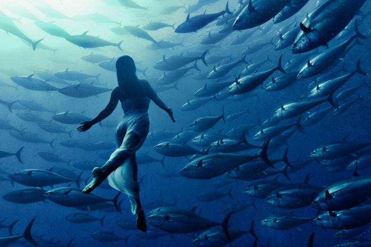 Поразительные снимки, в которых нет ни капли фотошопа