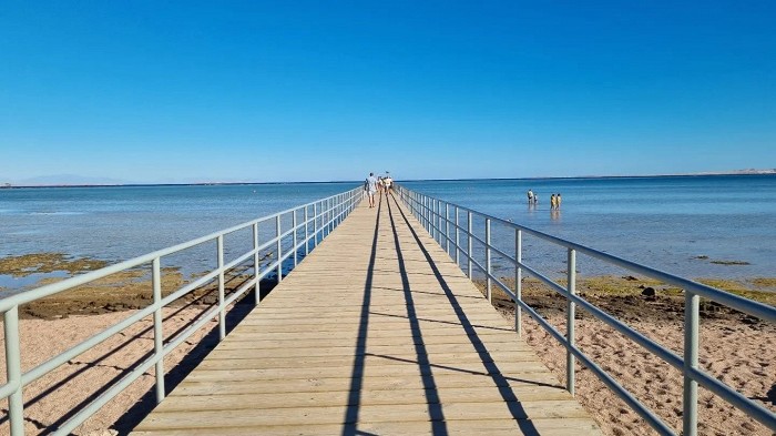 «Танцами нас развлекали официанты»: россияне делятся восторженным отзывом об отеле в Шарм-эль-Шейхе