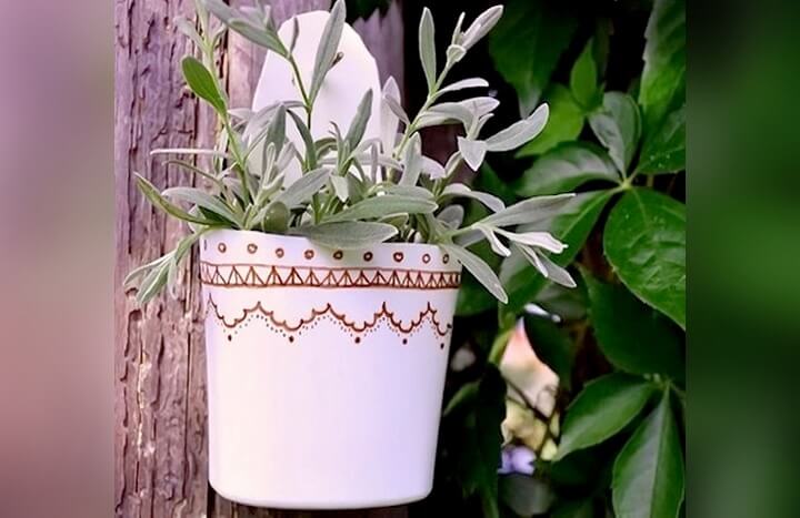 Вторая жизнь бутылок от шампуня