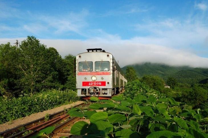 Железные дороги и поезда разных стран