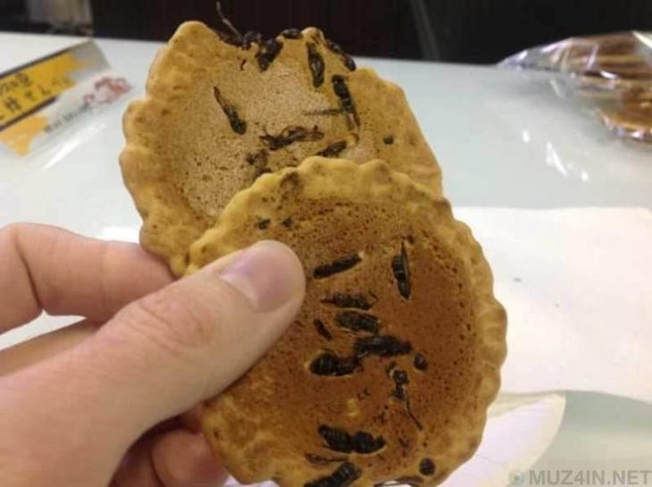 10 блюд из насекомых, которые считаются деликатесом в разных странах