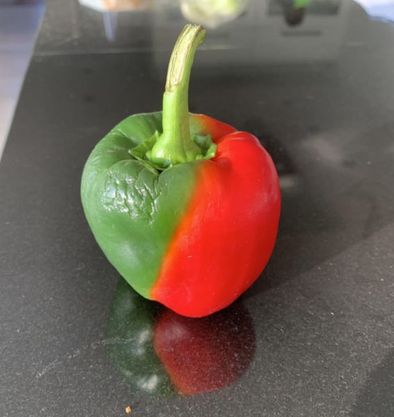 10 уникальных случаев, когда природа реально удивила