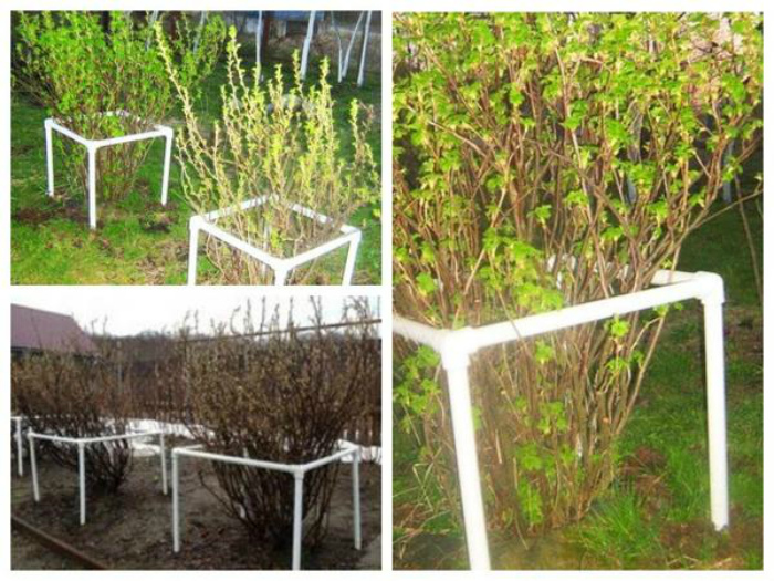 15 практичных поделок из ПВХ-труб, которые точно пригодятся на дачном участке