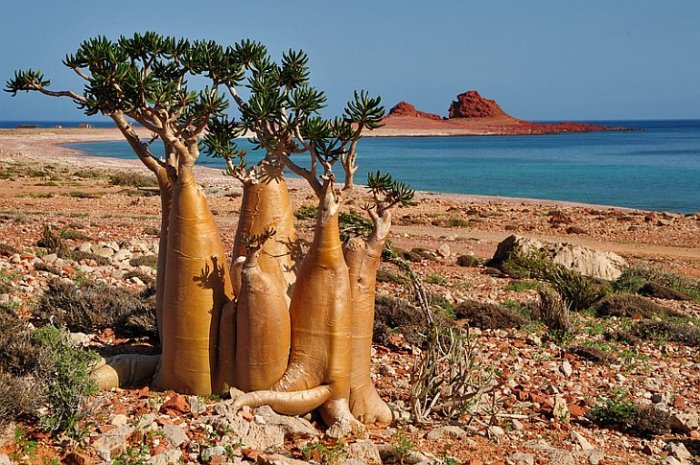 7 захватывающих мест на Земле, которые стоит увидеть своими глазами хотя бы раз в жизни