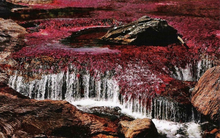 7 захватывающих мест на Земле, которые стоит увидеть своими глазами хотя бы раз в жизни