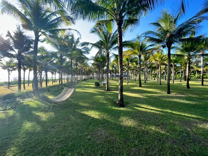 «Дело не в заговоре против вас»: рассказ туристки, сдавшей положительный тест во Вьетнаме