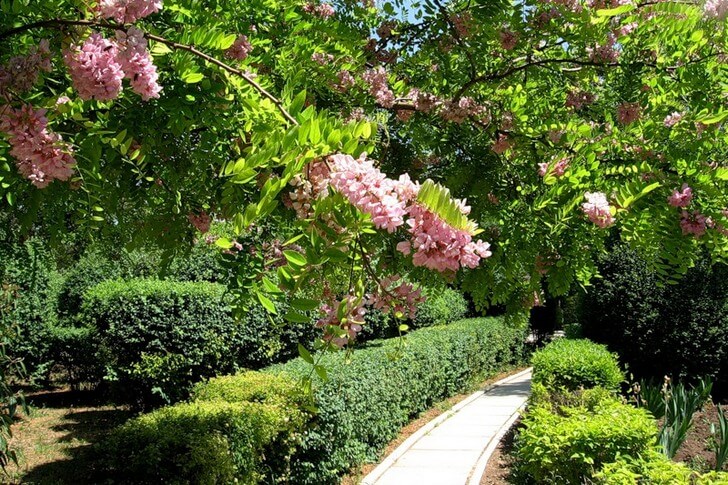 Достопримечательности Евпатории