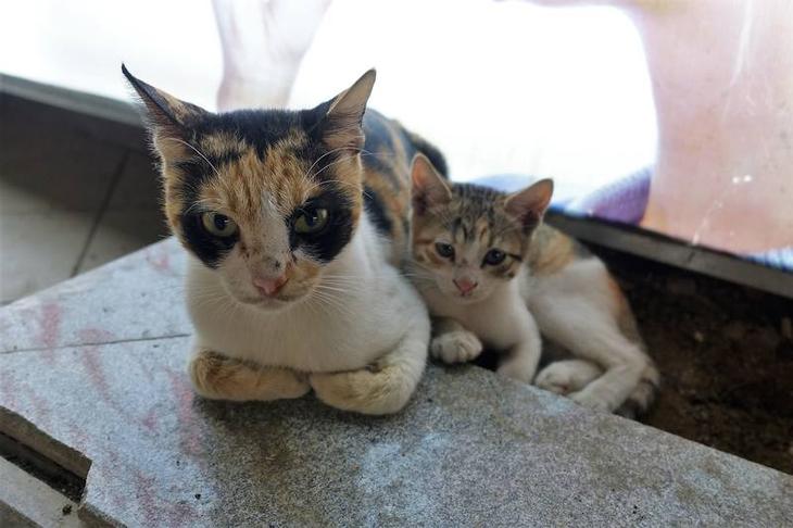 Египетский курорт Шарм аль Шейх