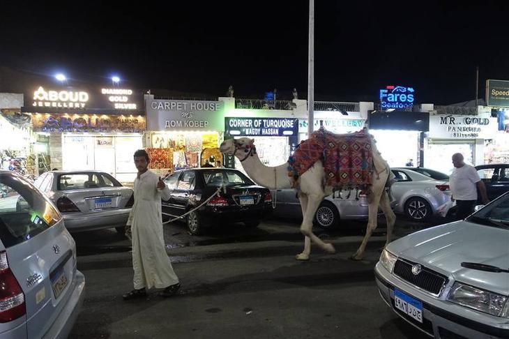 Египетский курорт Шарм аль Шейх