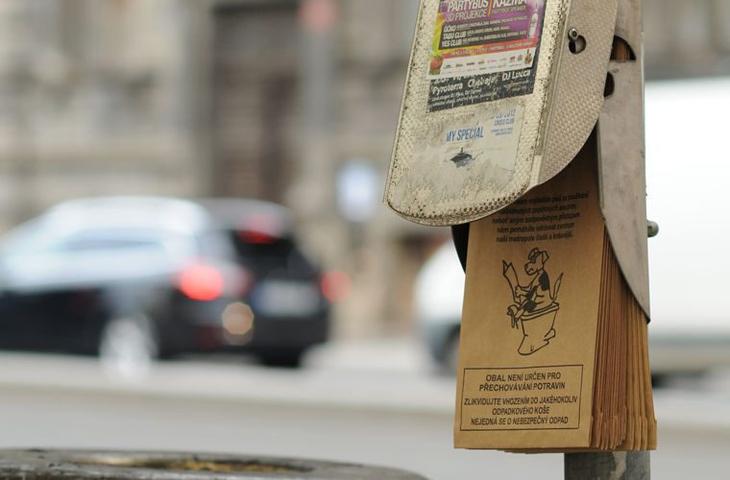 Эти загадочные чехи