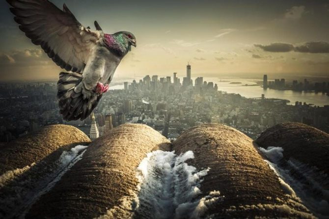 Города, в которых обязательно нужно побывать