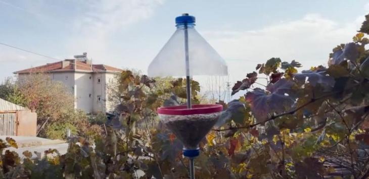 Идеи использования пластиковых бутылок дома и во дворе