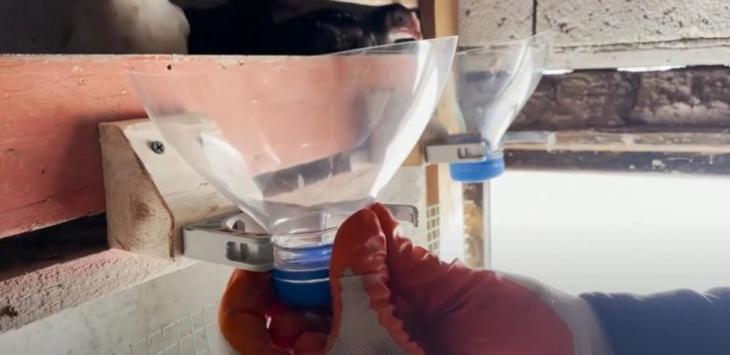 Идеи использования пластиковых бутылок дома и во дворе