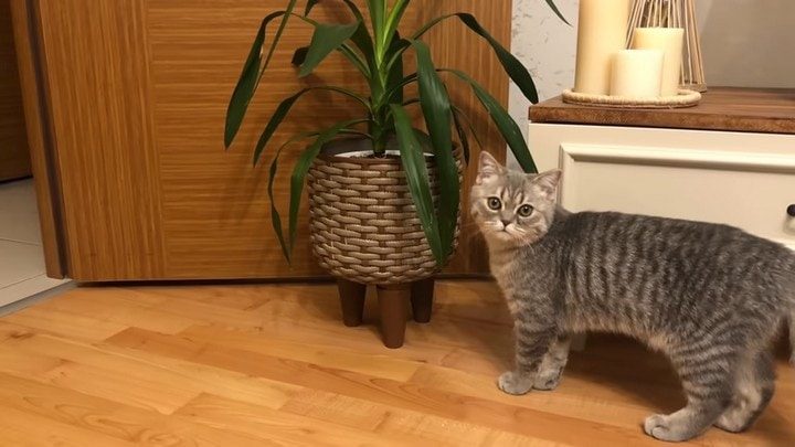 Интересная вещь из старой кастрюли