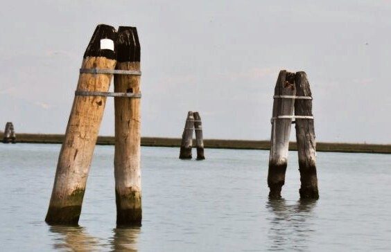 На чём стоит Венеция? Секрет города на воде