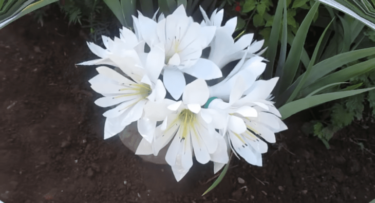 Оригинальный декор из пластиковых бутылок