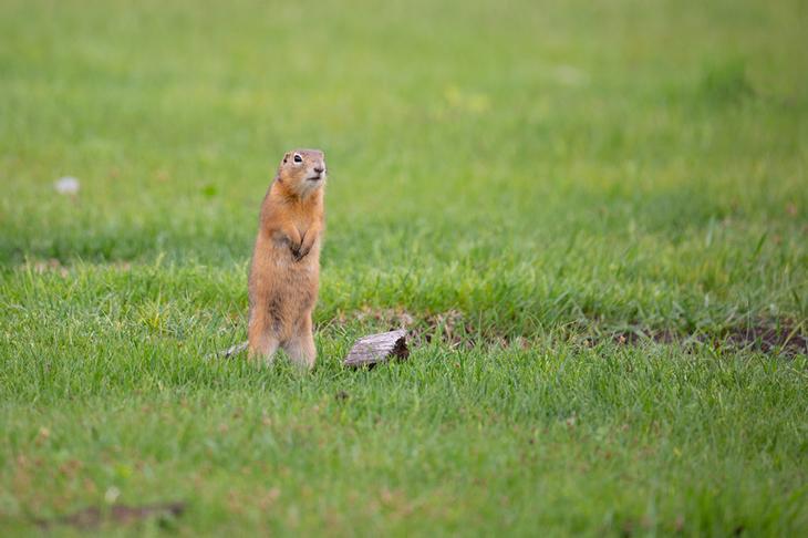 Озера Тункинской долины Национальный парк «Тункинский»