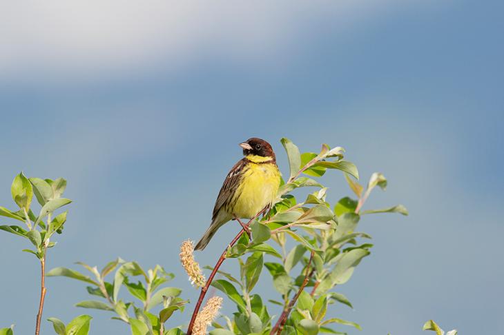 Озера Тункинской долины Национальный парк «Тункинский»