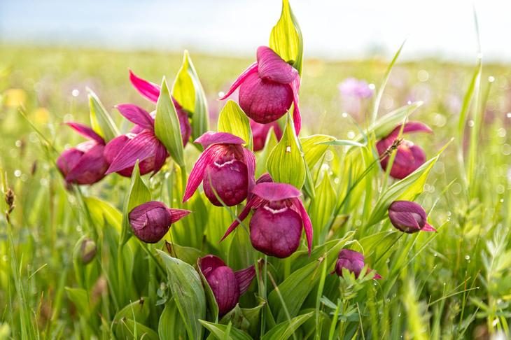 Озера Тункинской долины Национальный парк «Тункинский»