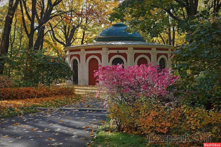 По волнам моей памяти... Нескучное