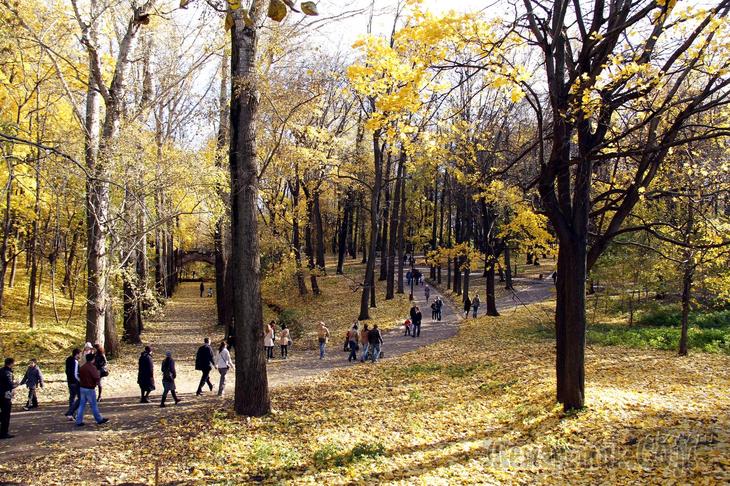 По волнам моей памяти... Нескучное