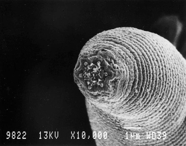 Самые глубокие места в мире