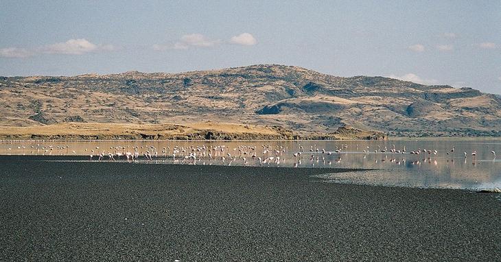 Самые опасные водоемы мира: ТОП-10 тайн, скрывающихся за кажущейся идиллией