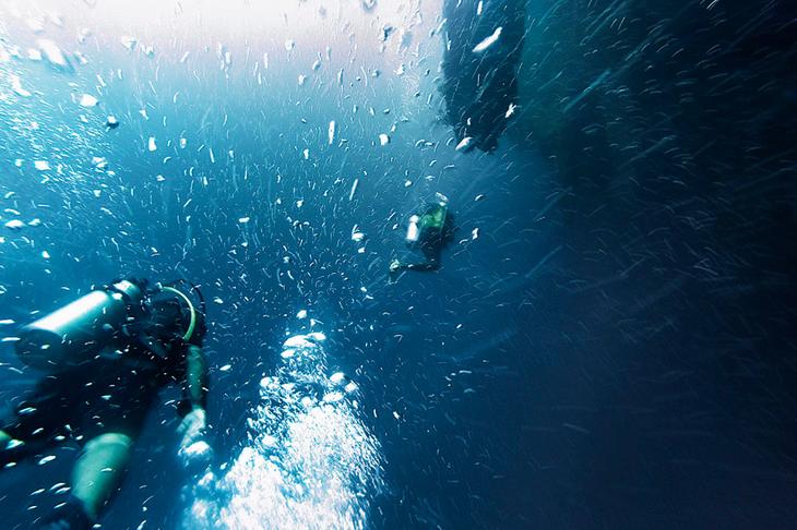 Самые опасные водоемы мира: ТОП-10 тайн, скрывающихся за кажущейся идиллией
