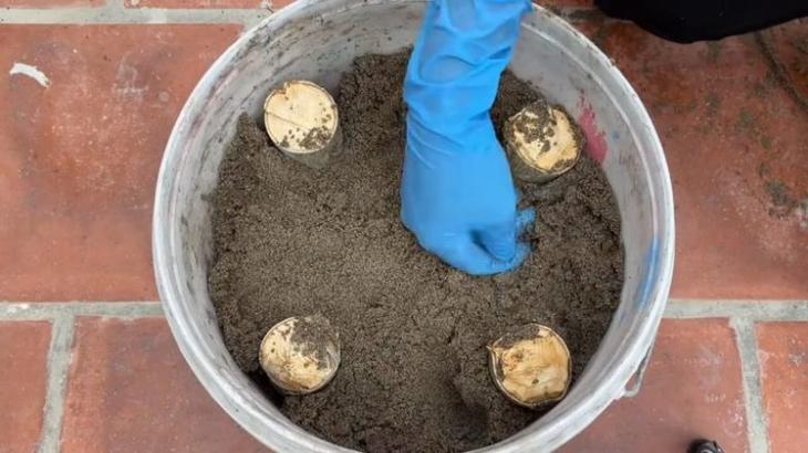 Шедевры для дачи из веток и бетона