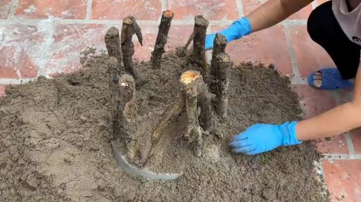 Шедевры для дачи из веток и бетона