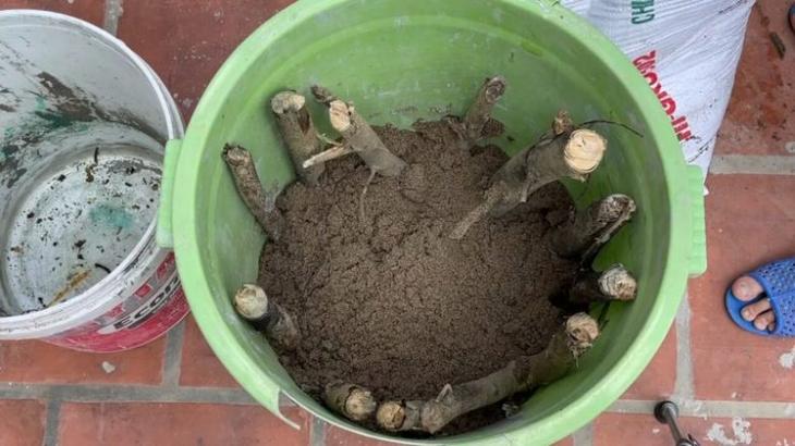 Шедевры для дачи из веток и бетона