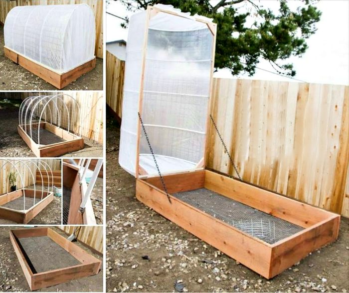 Теплицы, которые можно сделать своими руками из доступных материалов