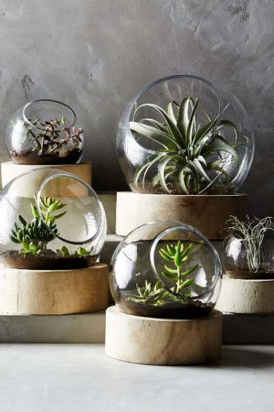 Террариум своими руками