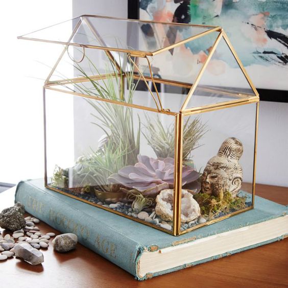 Террариум своими руками