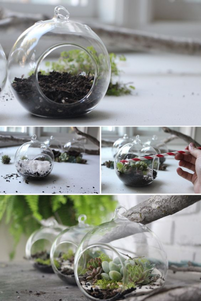 Террариум своими руками